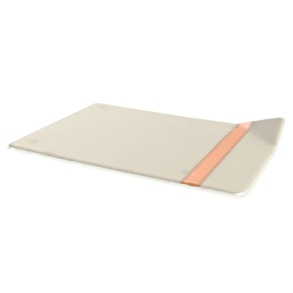 Rectangular Dessert Plate in Birch White - Restaurant Plates - 3/4 View