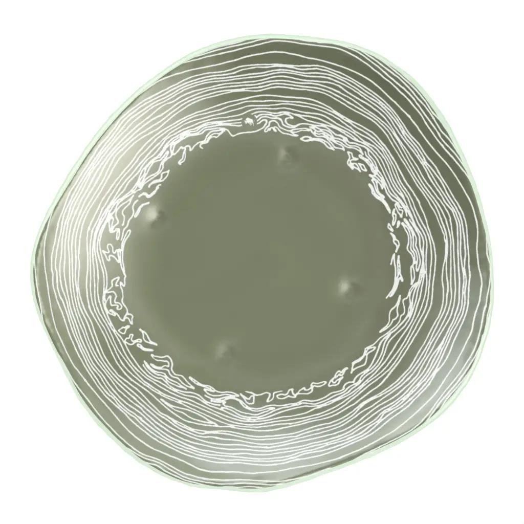 Artisan Dinner Plate in Mint Green - Restaurant Plates - 3/4 View