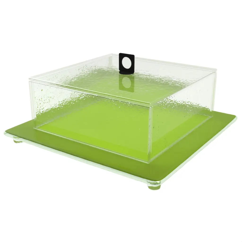 Cake Stand And Dome in Greenery Green - Cake Stands - 3/4 View