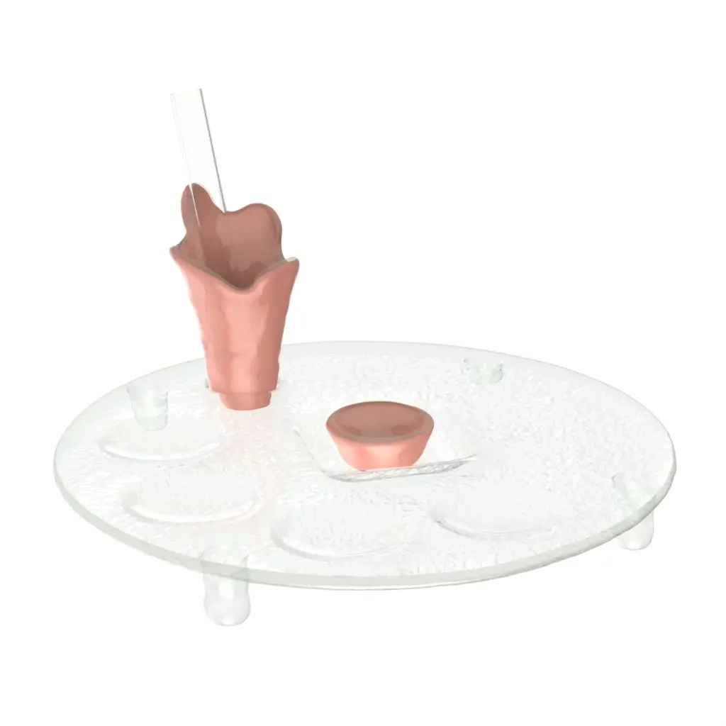 Caviar Serving Set in Light Salmon Pink - Specialty Dinnerware - 3/4 View