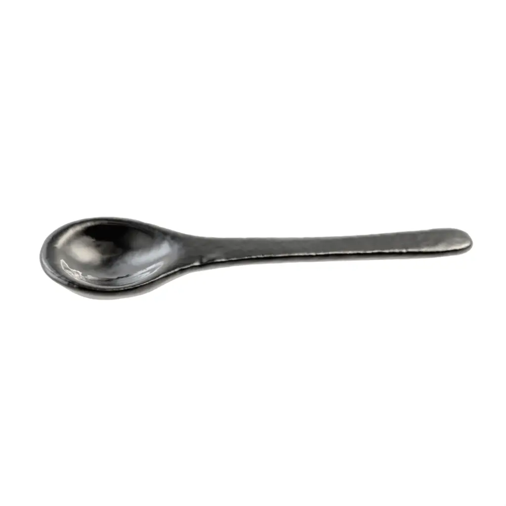 Condiment Spoon in Black - Snacks Serveware - 3/4 View