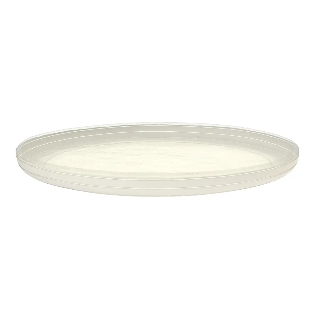 Dinner Plate With High Sides in Birch White - High Sided Plates - 3/4 View