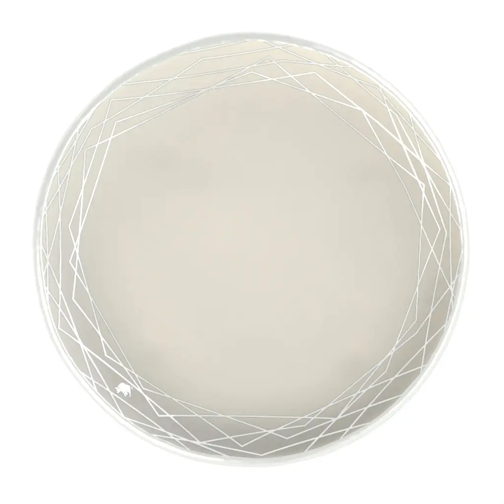 Glass Bread Plate in Birch White - Bread & Butter - 3/4 View