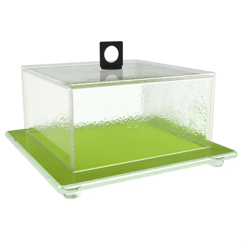 Glass Cake Stand With Cover in Greenery Green - Cake Stands - 3/4 View