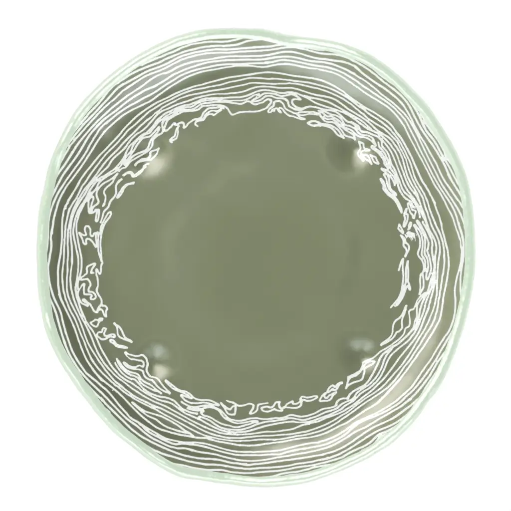 Modern Appetizer Plate in Mint Green - Side Plates - 3/4 View