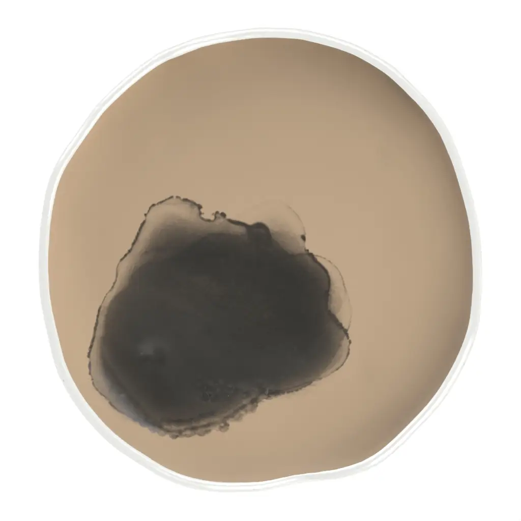 Modern Appetizer Plate in Almond Beige - Side Plates - 3/4 View