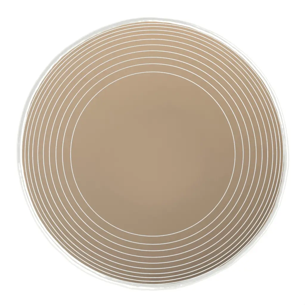 Modern Dinner Plate in Almond Beige - Restaurant Plates - 3/4 View