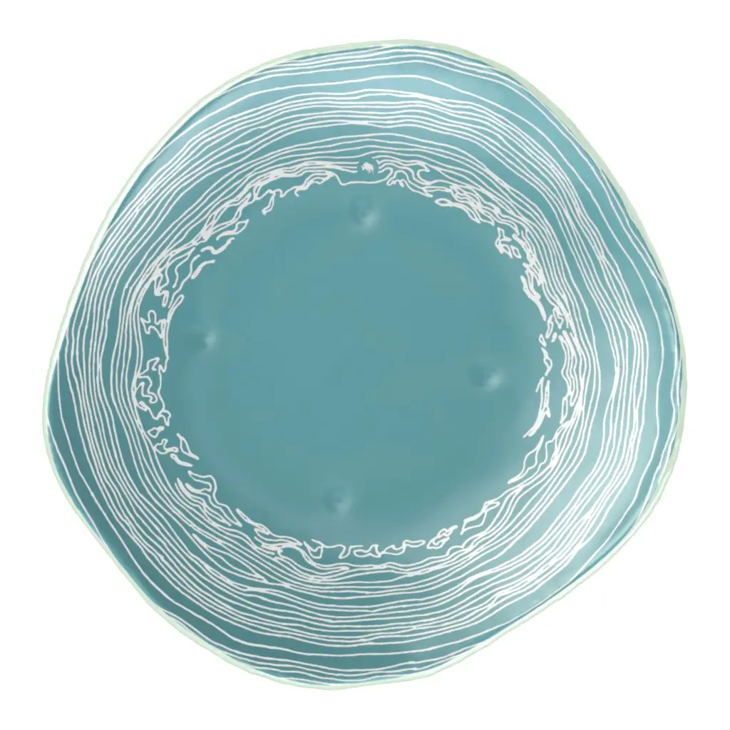 Organic Shaped Plates - Organic Plates | MyGlassStudio - 3/4 View