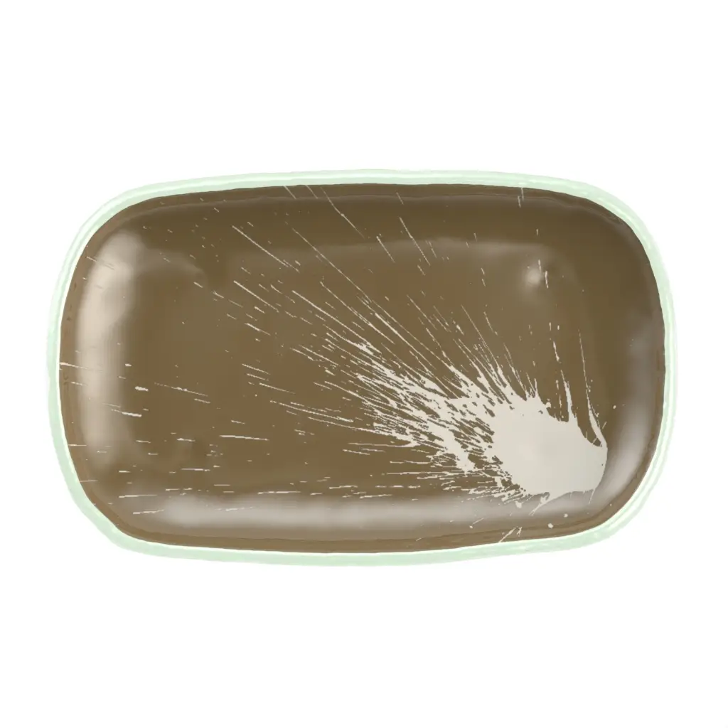 Oval Appetizer Plates - Side Plates | MyGlassStudio - 3/4 View