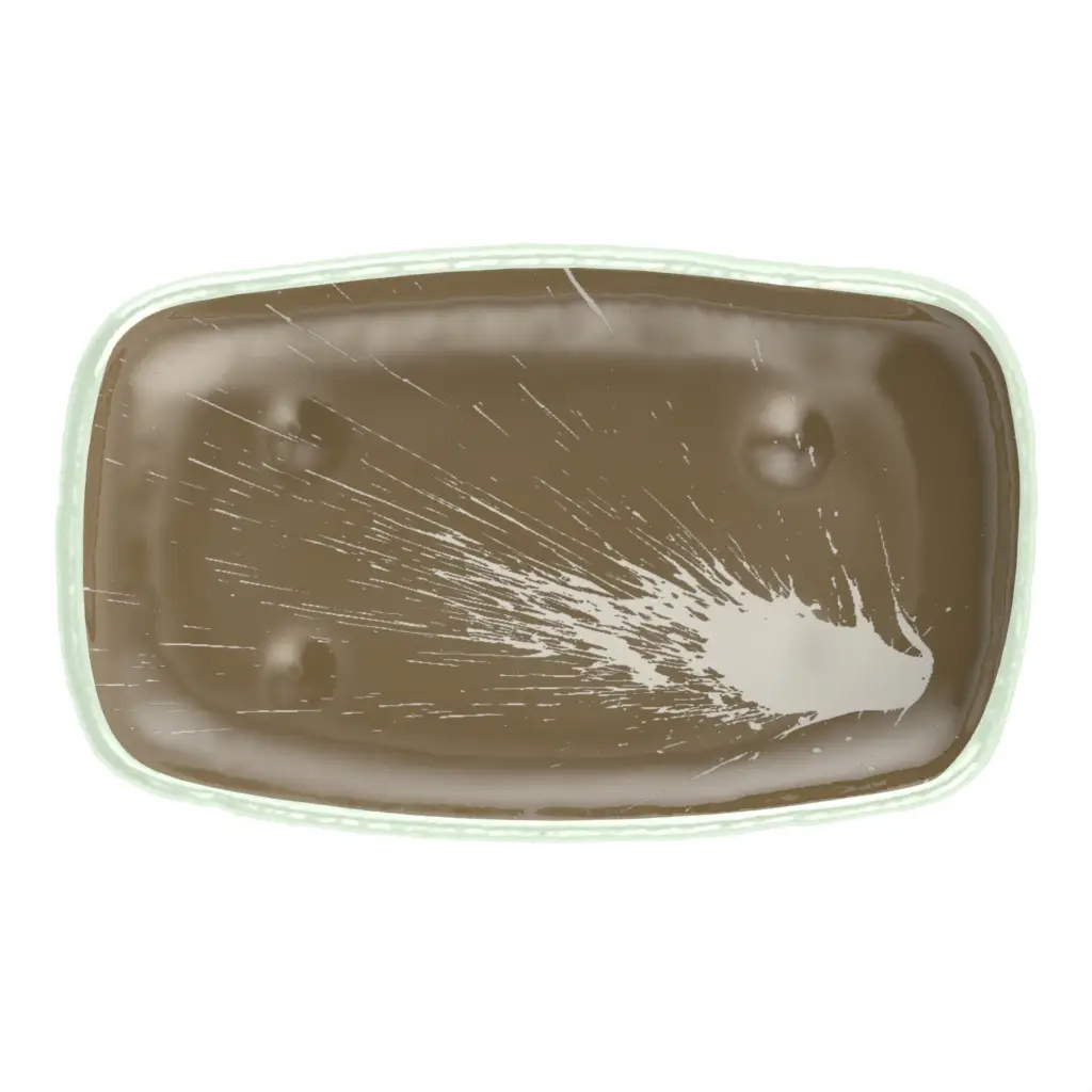Oval Appetizer Plates - Side Plates | MyGlassStudio - 3/4 View