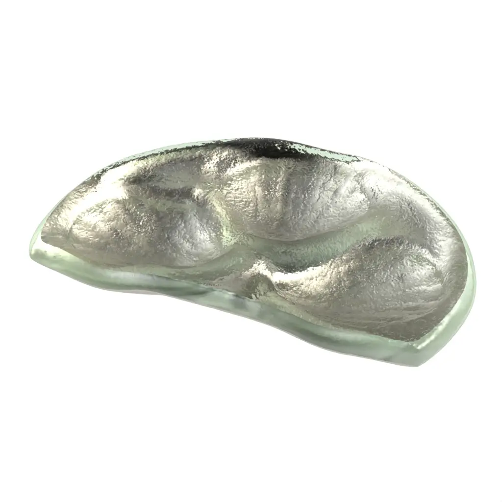 Oyster Serving Plate in Platinum Silver - Specialty Dinnerware - 3/4 View