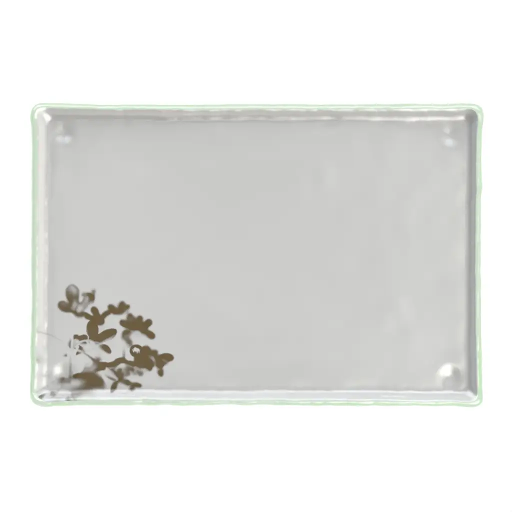 Rectangular Sushi Plate in Light Silver Gray - Specialty Dinnerware - 3/4 View