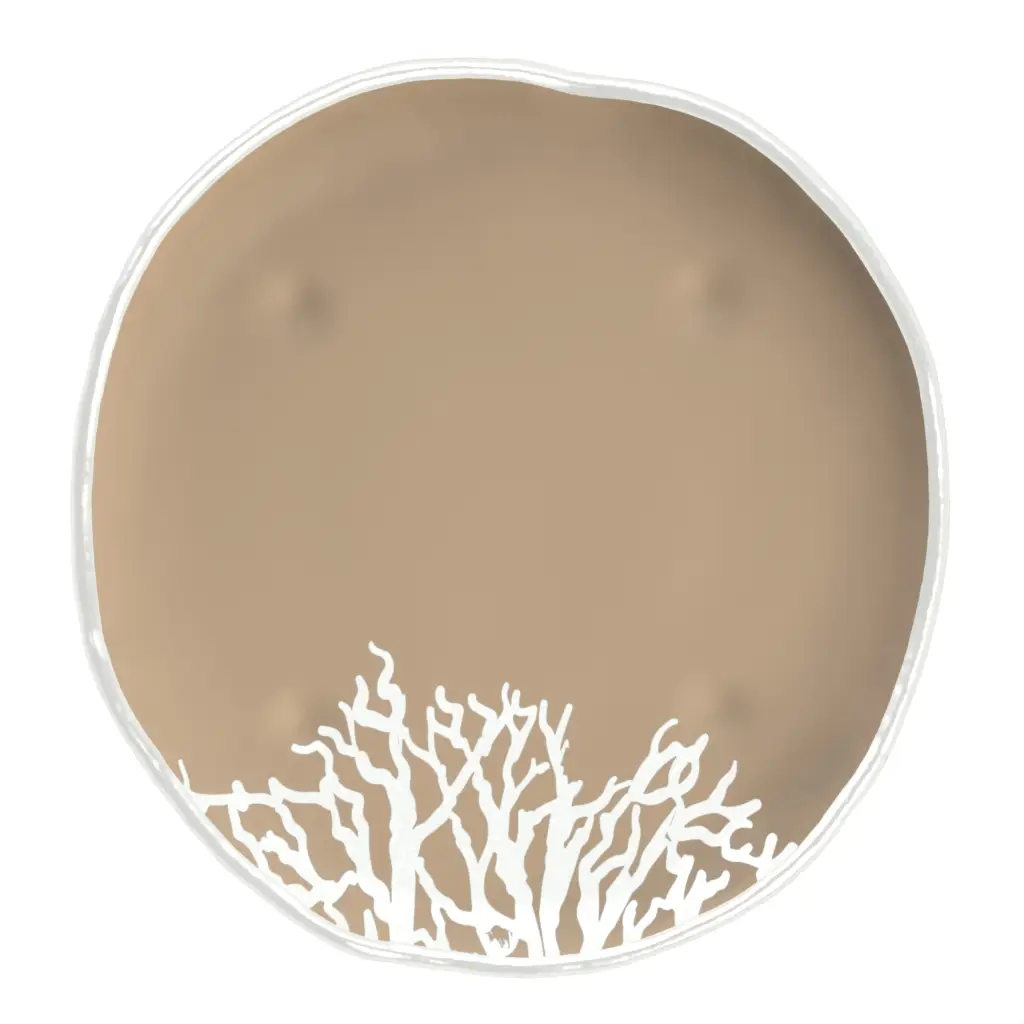 Restaurant Appetizer Plate in Almond Beige - Side Plates - 3/4 View