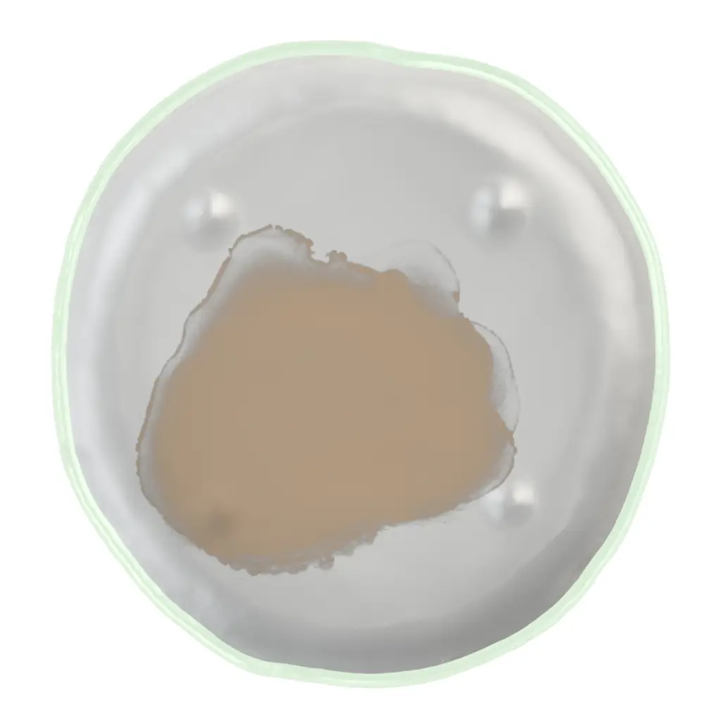 Restaurant Appetizer Plates - Side Plates | MyGlassStudio - 3/4 View