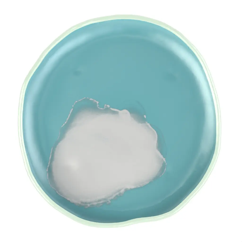 Restaurant Appetizer Plates - Side Plates | MyGlassStudio - 3/4 View
