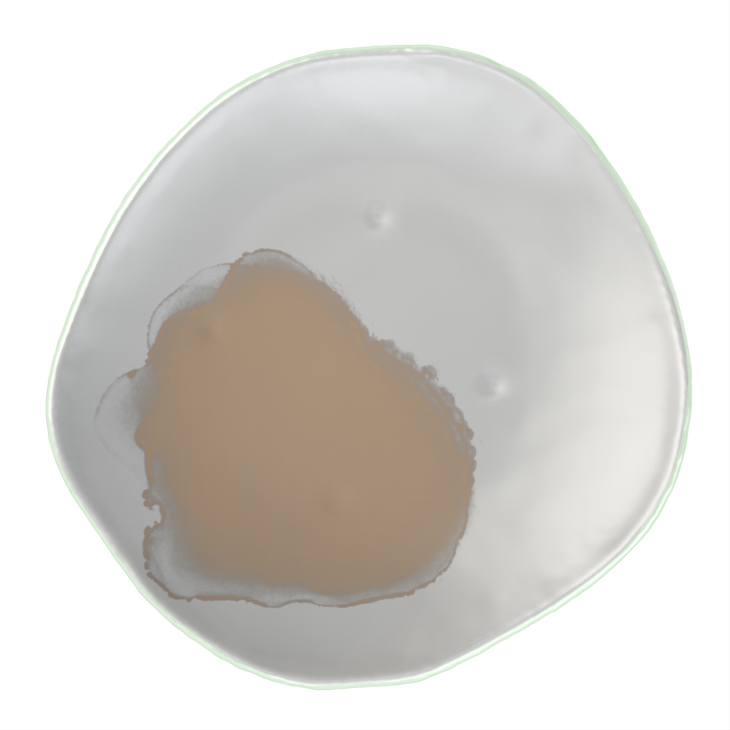 Restaurant Dinner Plates - Restaurant Plates | MyGlassStudio - 3/4 View