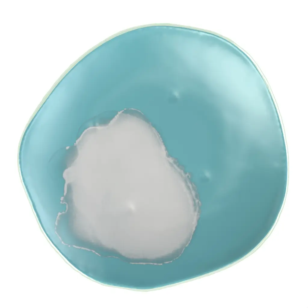 Restaurant Dinner Plates - Restaurant Plates | MyGlassStudio - 3/4 View