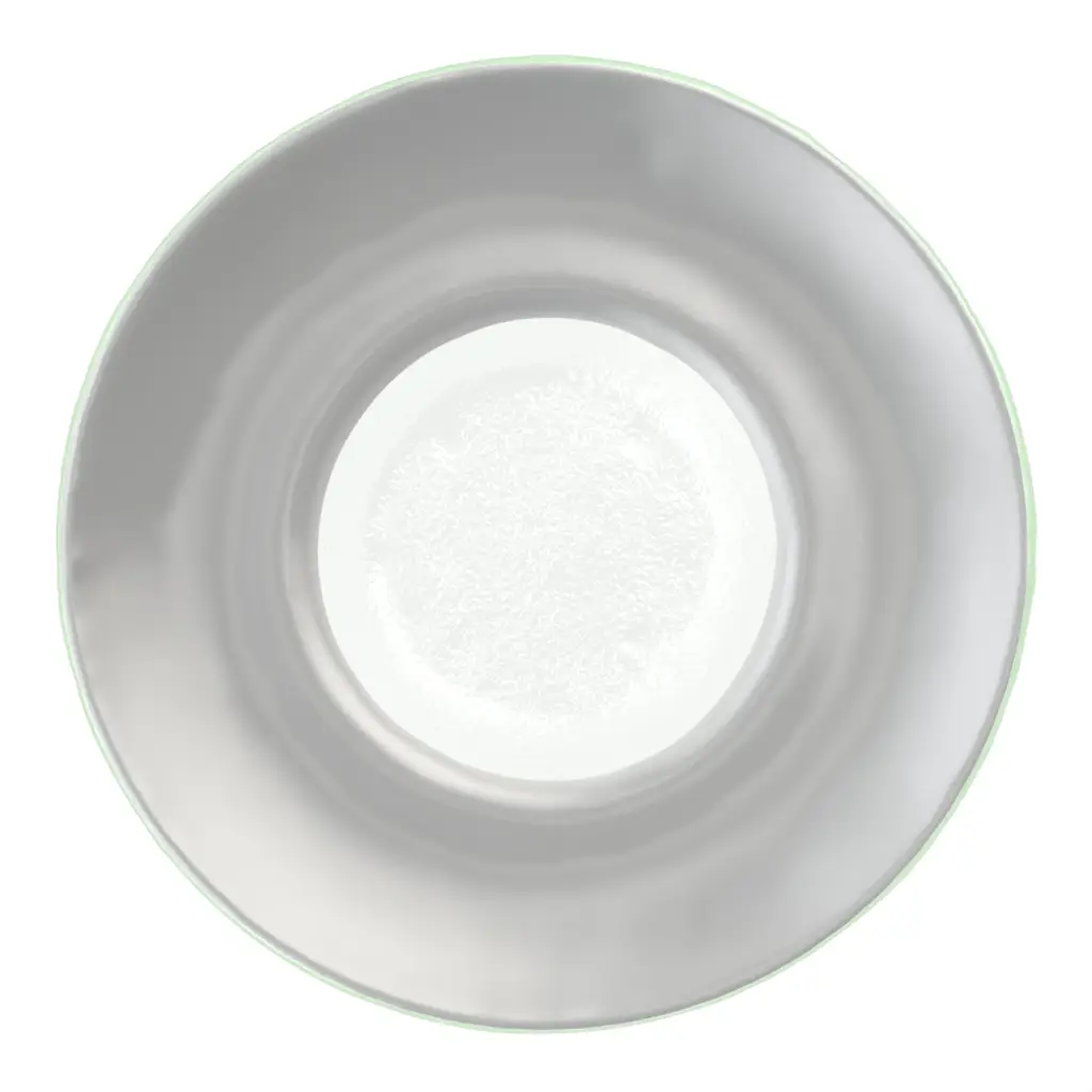 Restaurant Pasta Plate in Light Silver Gray - Restaurant Plates - 3/4 View