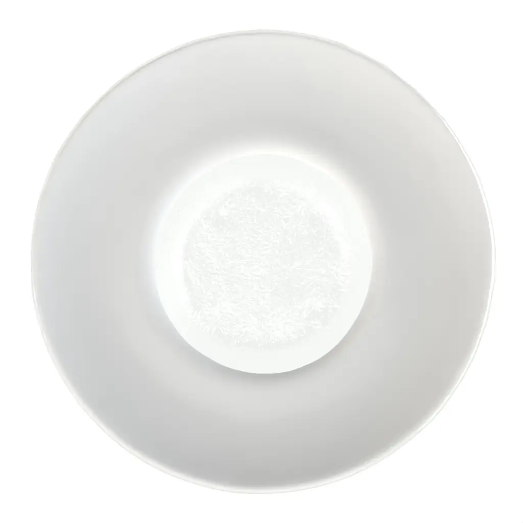 Restaurant Pasta Plate in Milk White - Restaurant Plates - 3/4 View