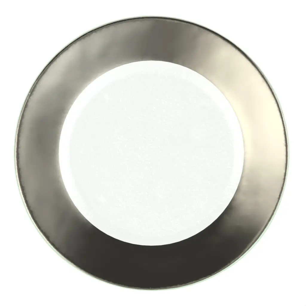 Silver Charger Plate in Platinum Silver - Fine Dining Tableware - 3/4 View