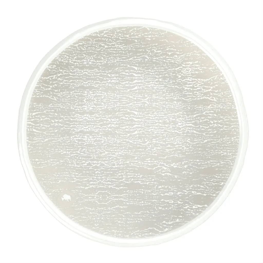 Tapas Plate in Birch White - Side Plates - 3/4 View