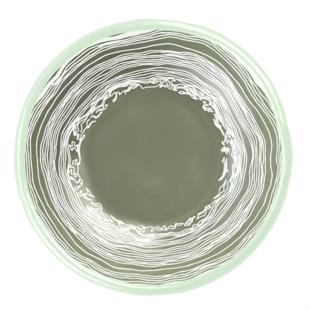 Tapas Serving Dish in Mint Green - Side Plates - 3/4 View