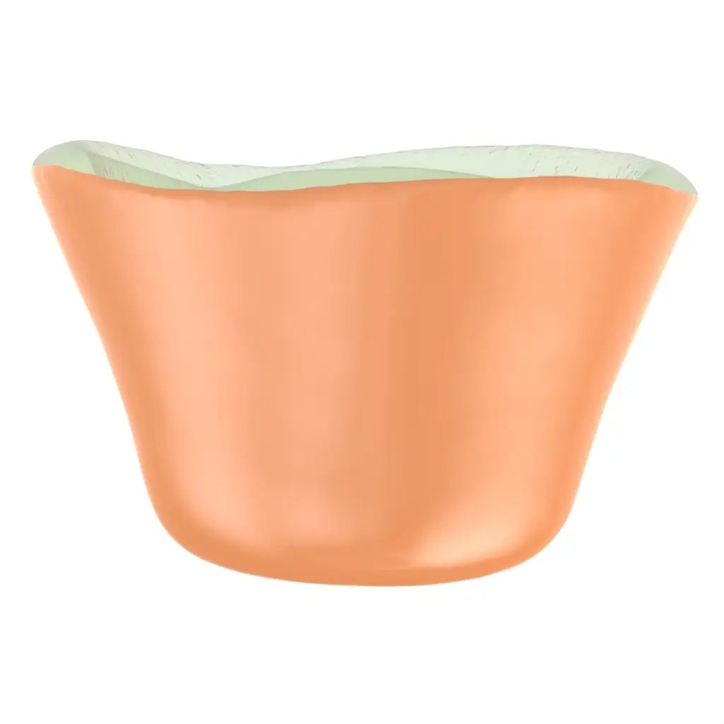 Tasting Bowl in Apricot Crush - Catering Serveware - 3/4 View