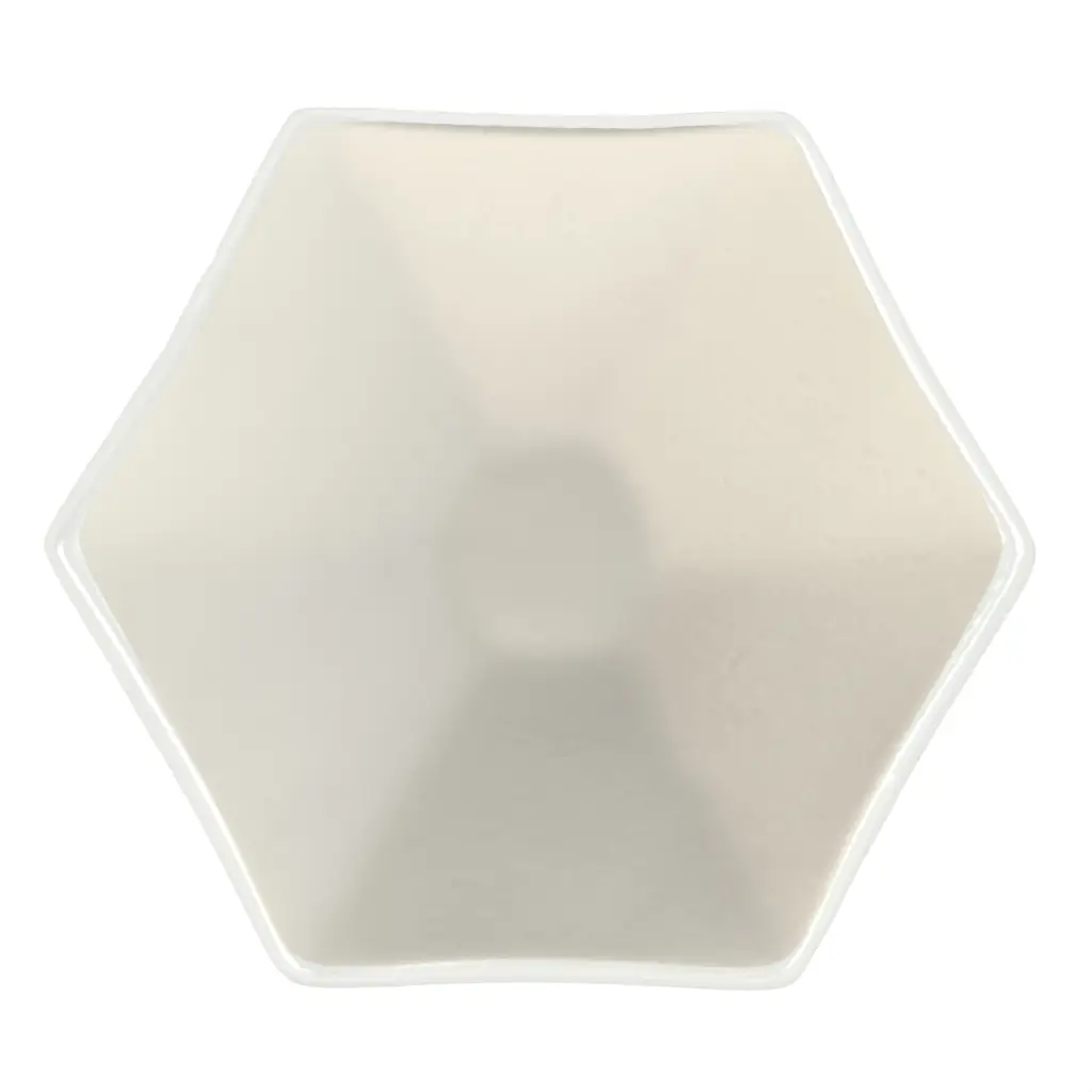 Tasting Plate in Birch White - Catering Serveware - 3/4 View