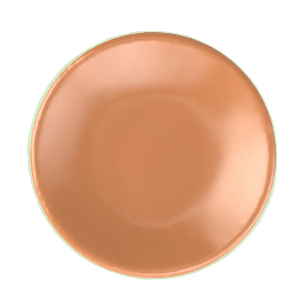 Tasting Plate in Apricot Crush - Catering Serveware - 3/4 View