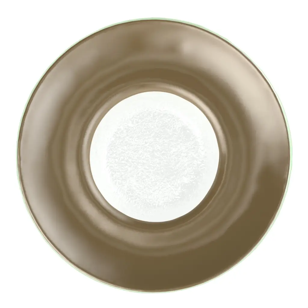 Wide Rim Pasta Plate in Olive Gray - Restaurant Plates - 3/4 View