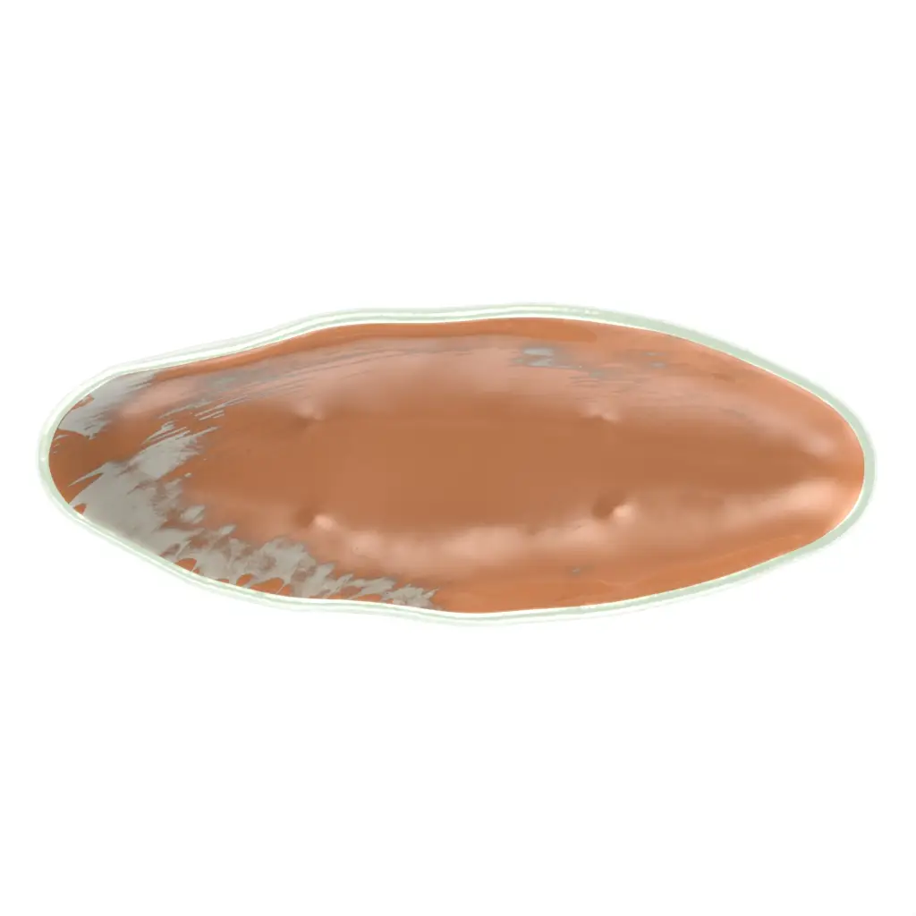 Stylish Fruit Bowl in Apricot Crush - Welcome Amenities - 3/4 View
