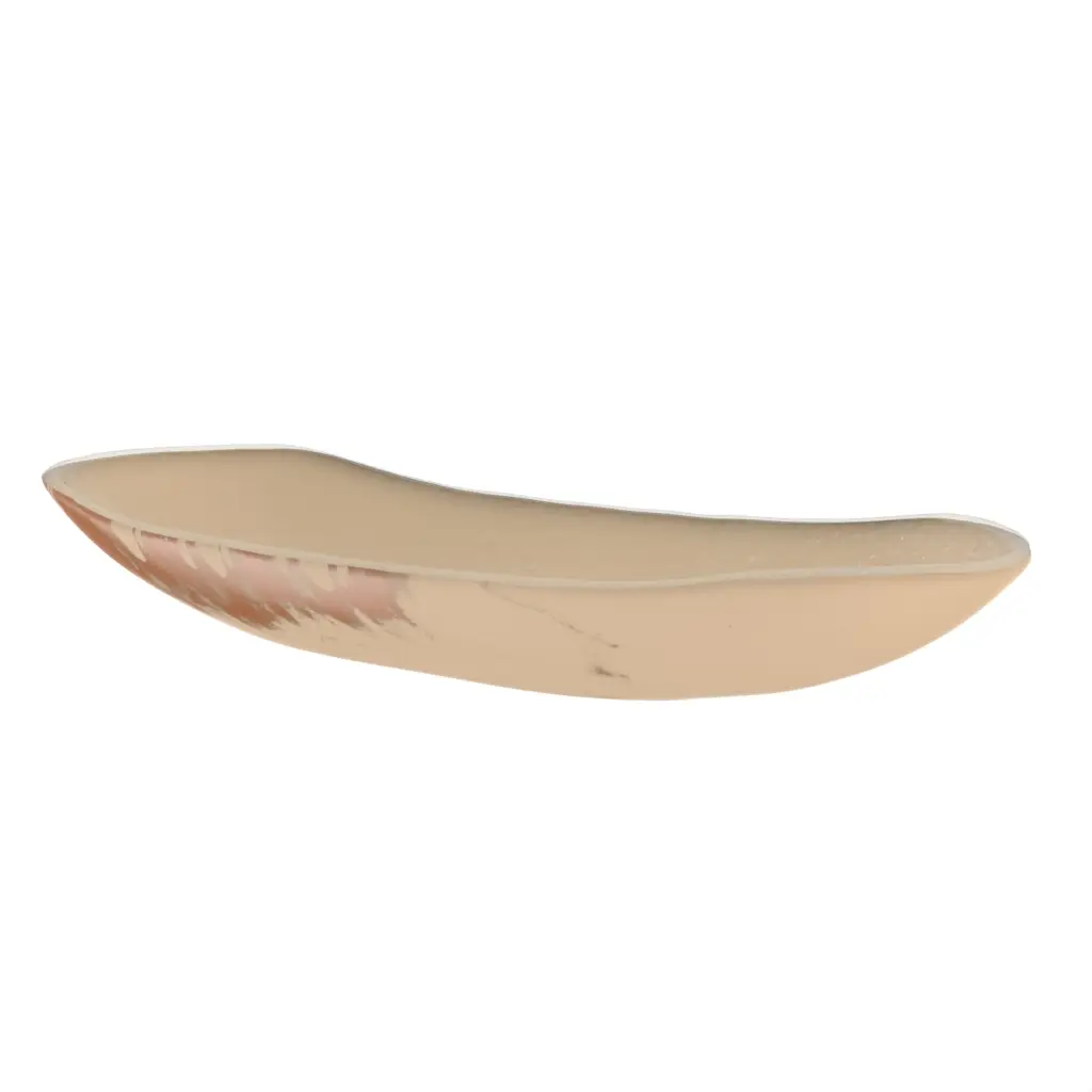 Contemporary Fruit Bowl in Almond Beige - Welcome Amenities - 3/4 View