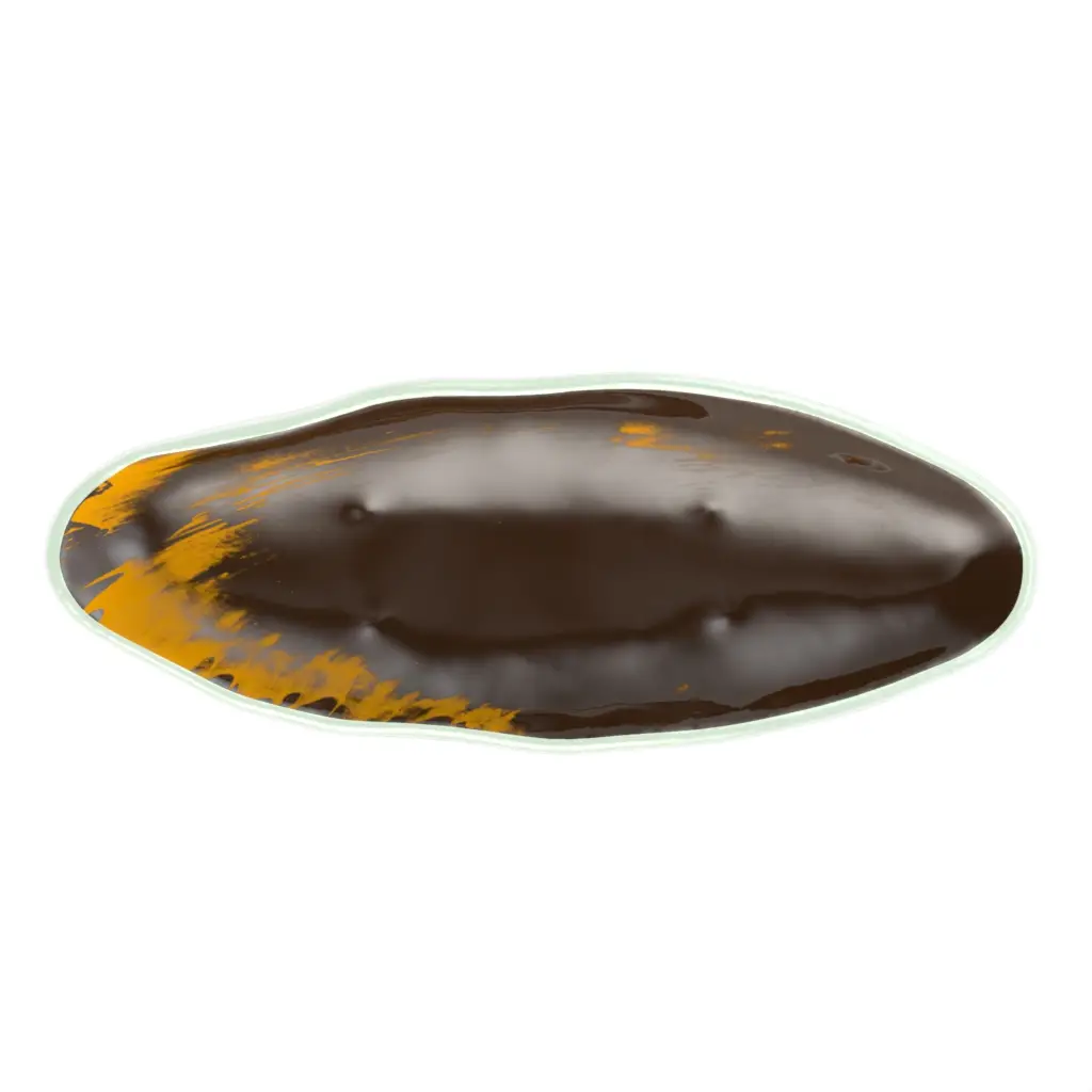 Serving Dish For Appetizers in Golden Brown - Serving Dishes - 3/4 View