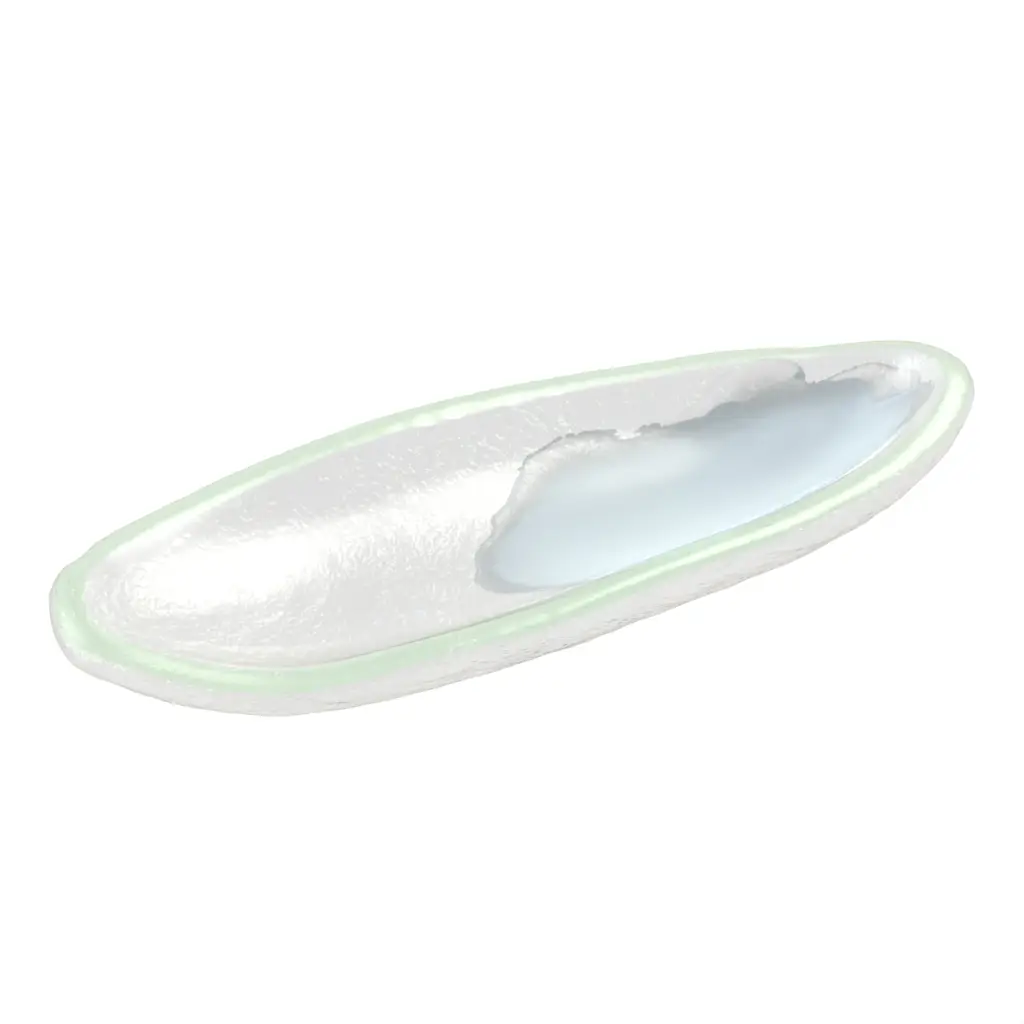 Olive Boat Serving Dish - Snacks Serveware | MyGlassStudio - 3/4 View