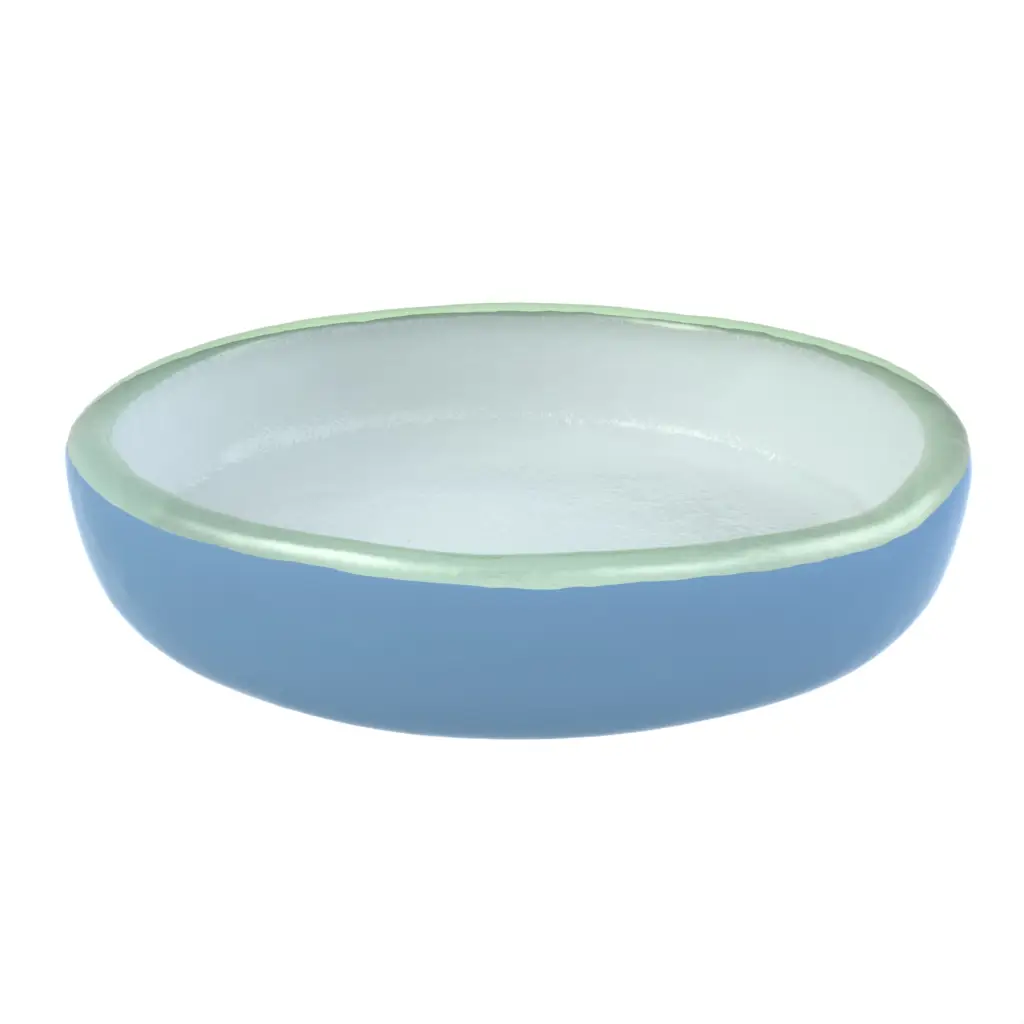 Olive Serving Dish - Snacks Serveware | MyGlassStudio - 3/4 View