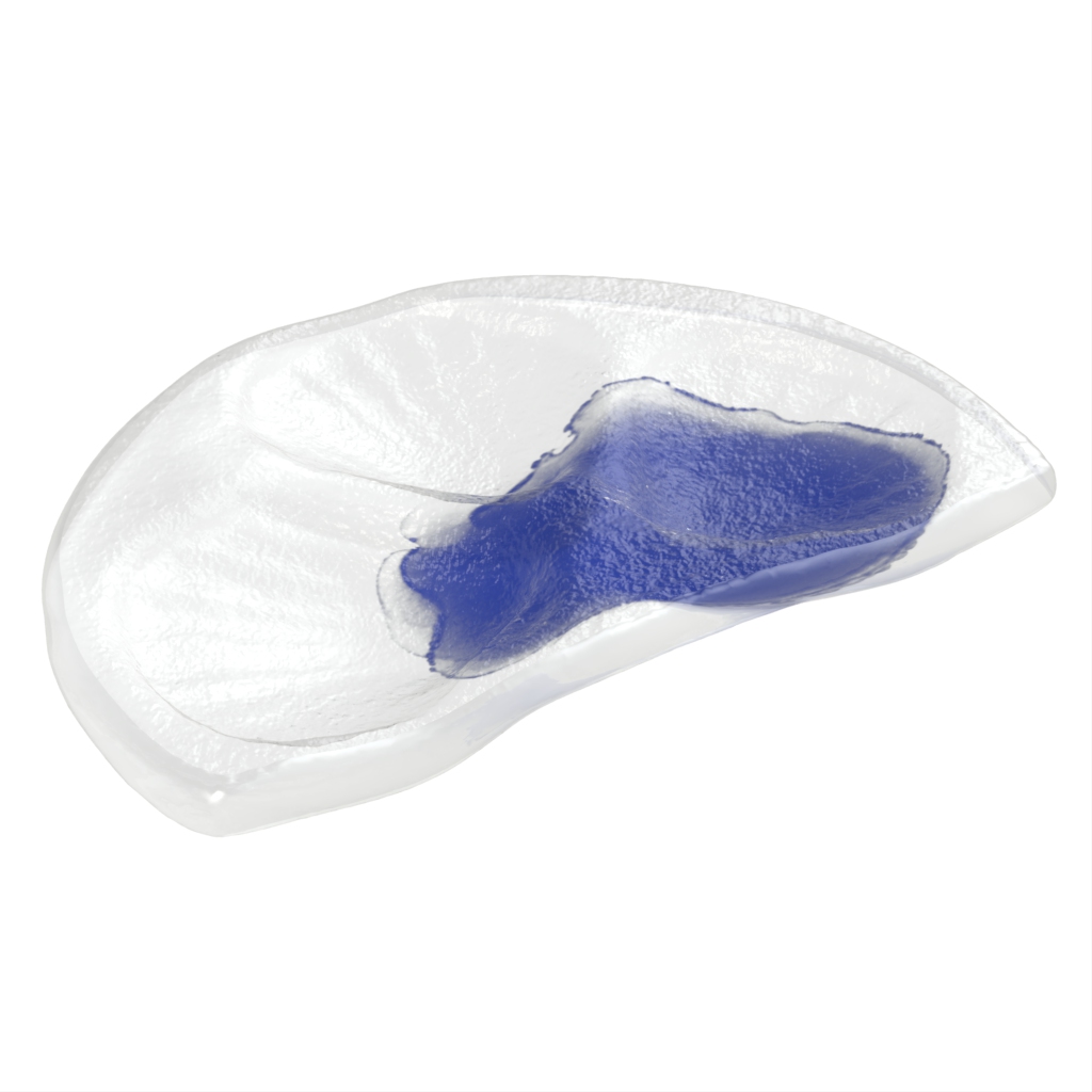 Oyster Serving Plates - Specialty Dinnerware | MyGlassStudio - 3/4 View