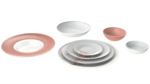 Wide Rim Dinnerware, White & Pink Color Scheme
