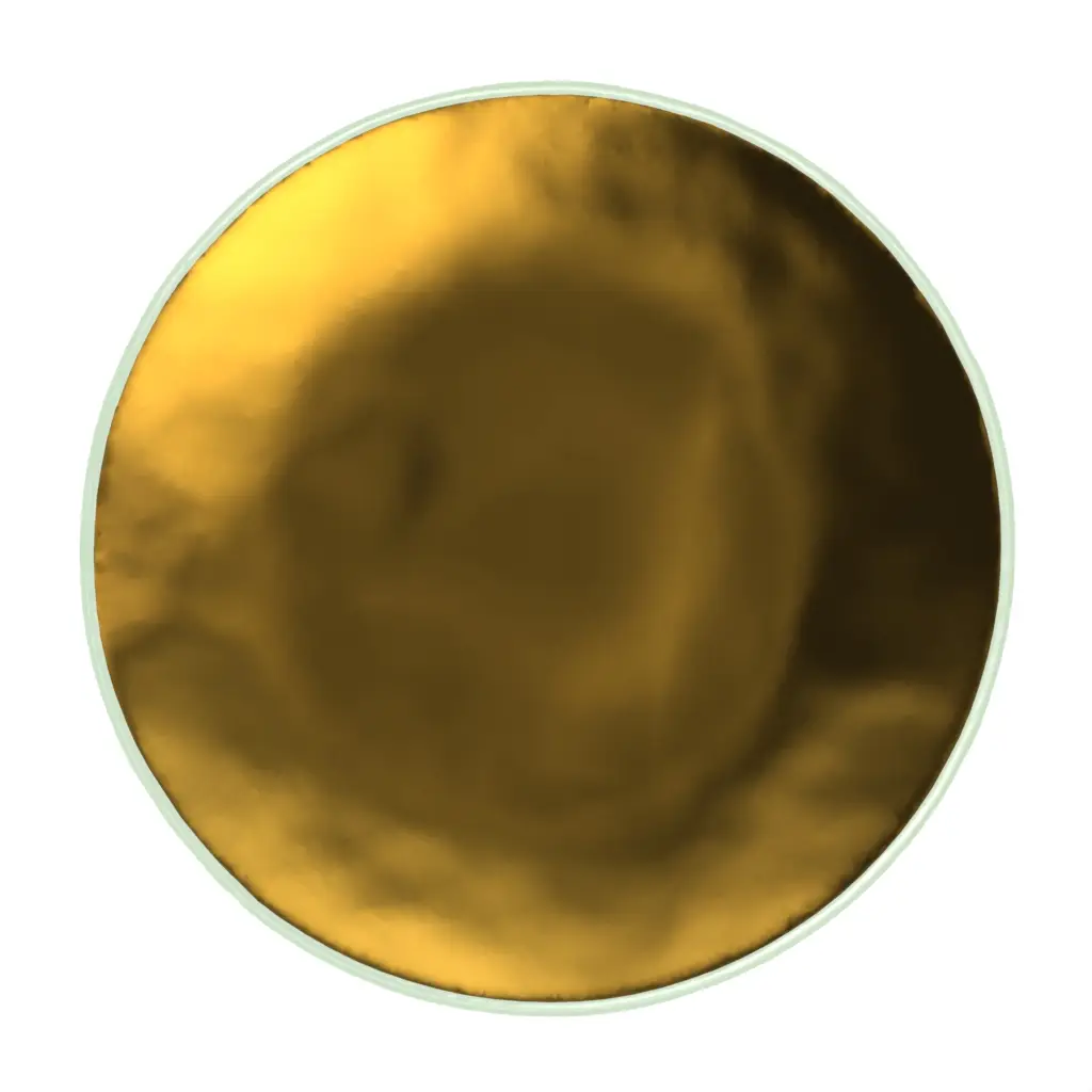 Mini Appetizer Plate in Pure Gold - Catering Serveware - 3/4 View