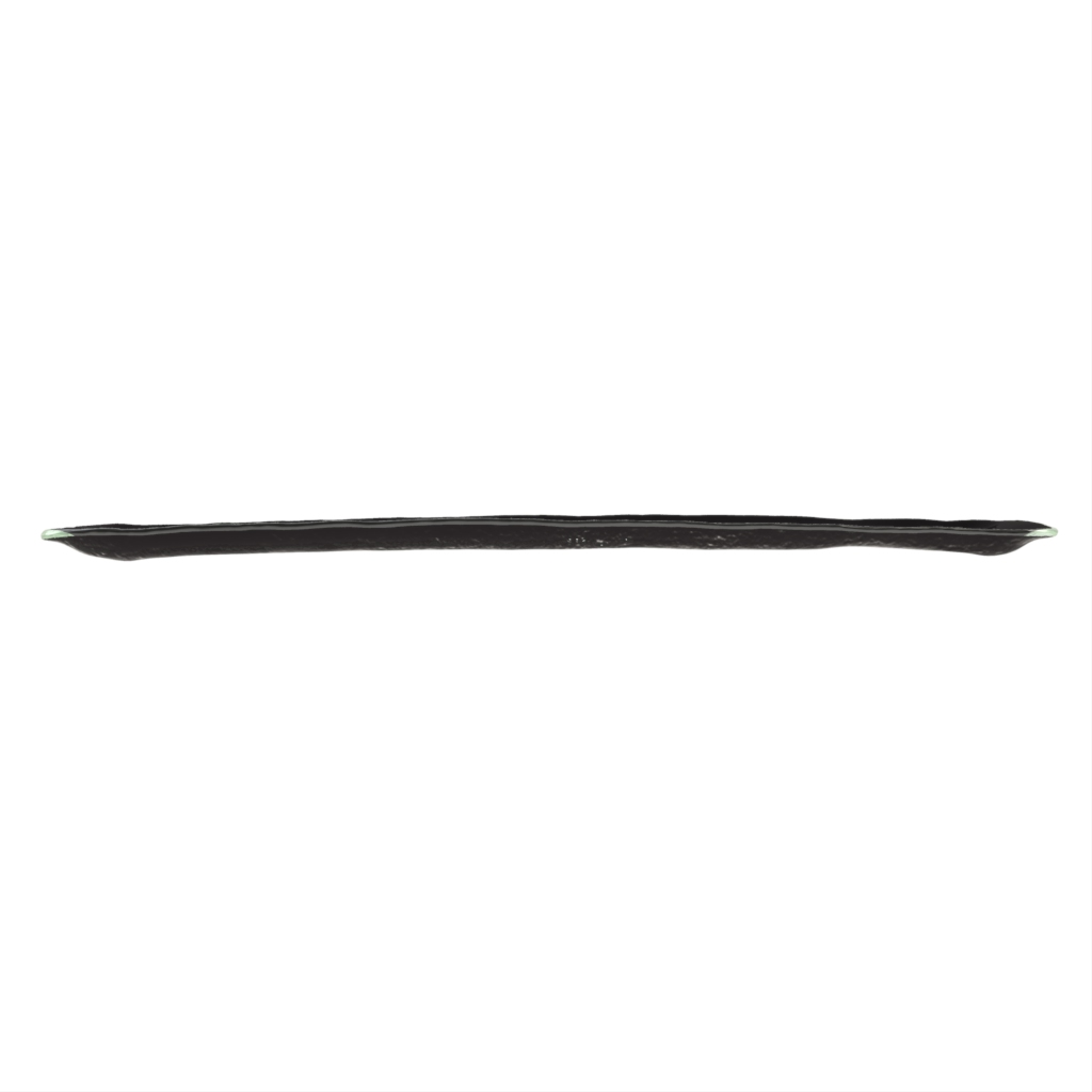 Rectangular Sushi Plate in Black - Specialty Dinnerware - Side View