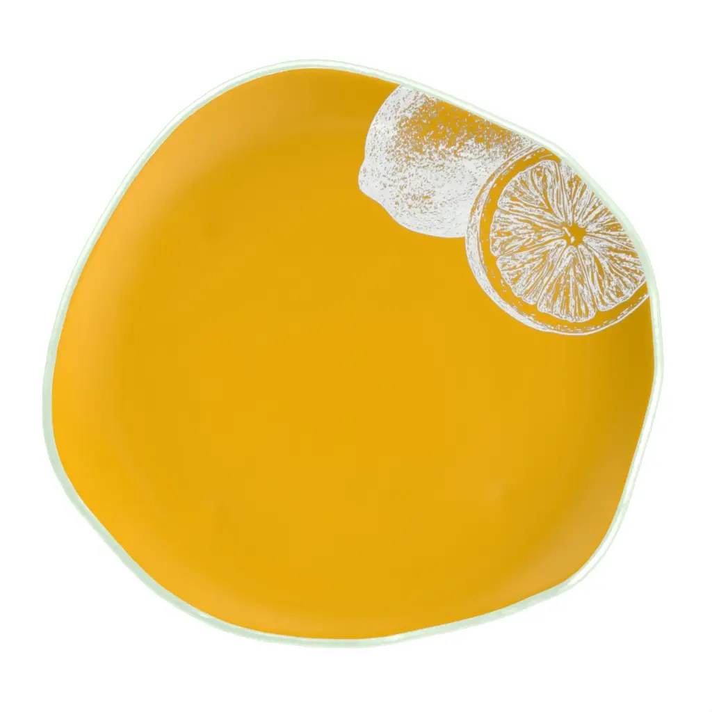 Unique Dinner Plates - Restaurant Plates | MyGlassStudio - 3/4 View