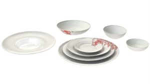 Wide Rim Dinnerware, Italian Palette, VTZ 042382