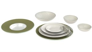 Wide Rim Dinnerware, Italian Palette, VAZ 042584